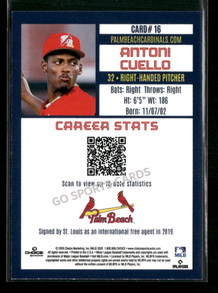 2026 Palm Beach Cardinals Antoni Cuello