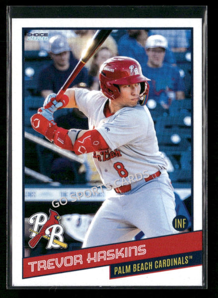 2026 Palm Beach Cardinals Trevor Haskins