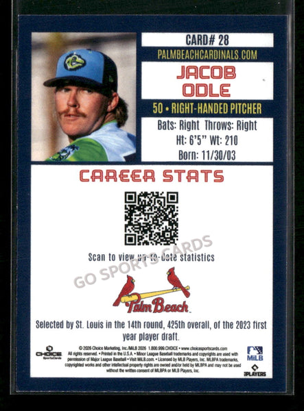 2026 Palm Beach Cardinals Jacob Odle