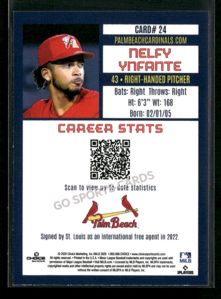 2026 Palm Beach Cardinals Nelfy Ynfante