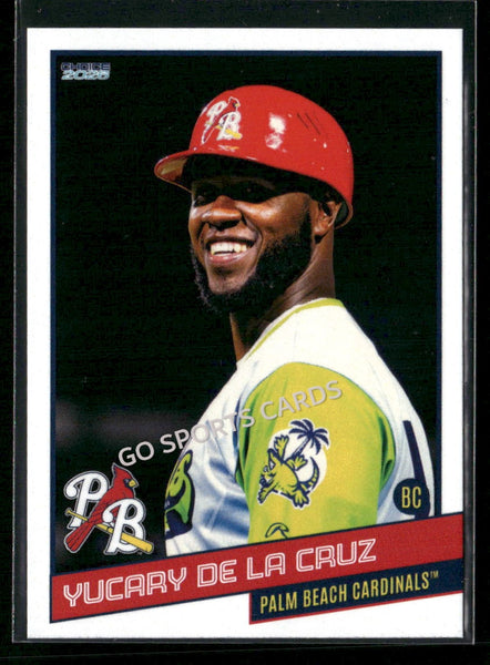 2026 Palm Beach Cardinals Yucary De La Cruz
