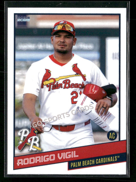 2026 Palm Beach Cardinals Rodrigo Vigil