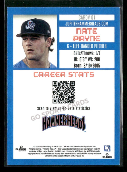 2026 Jupiter Hammerheads Nate Payne