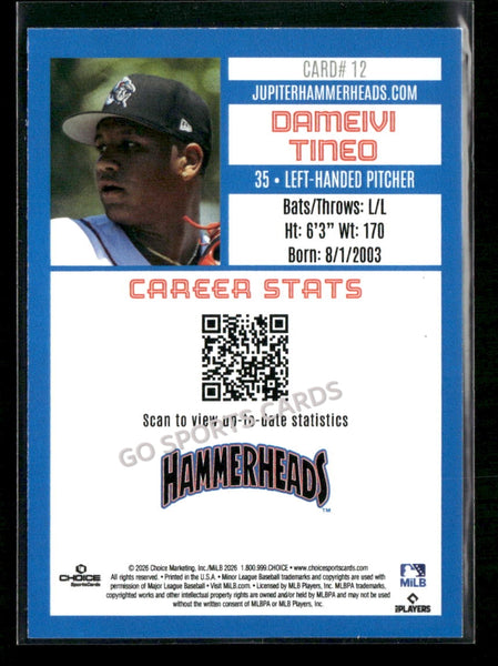 2026 Jupiter Hammerheads Dameivi Tineo