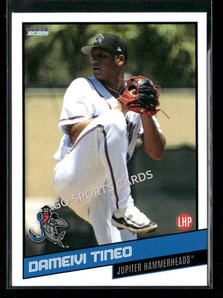2026 Jupiter Hammerheads Dameivi Tineo