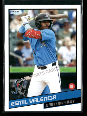 2026 Jupiter Hammerheads Esmil Valencia