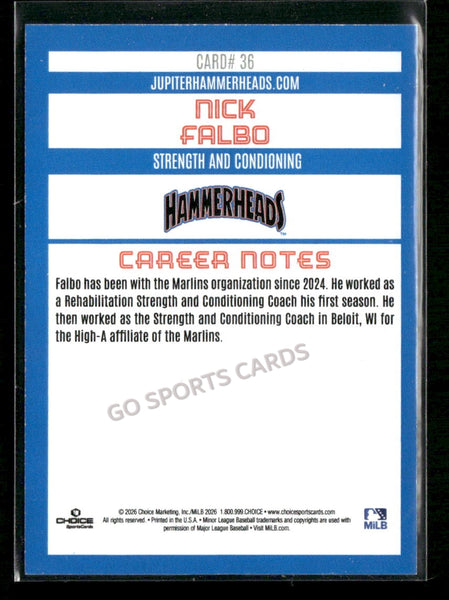 2026 Jupiter Hammerheads Nick Falbo