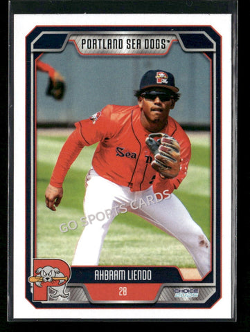 2026 Portland Sea Dogs Ahbram Liendo