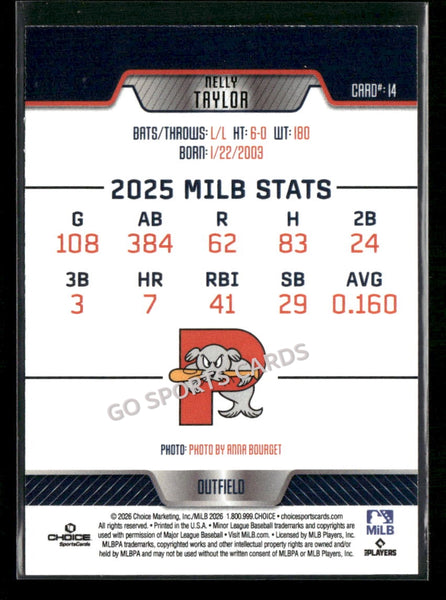 2026 Portland Sea Dogs Nelly Taylor