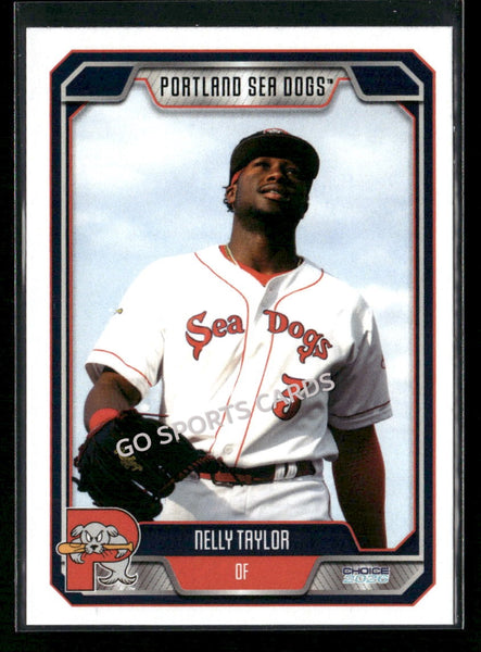 2026 Portland Sea Dogs Nelly Taylor