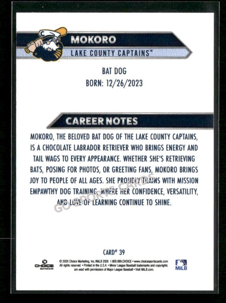 2026 Lake County Captains Mokoro Dog