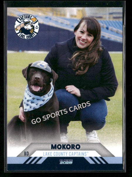 2026 Lake County Captains Mokoro Dog