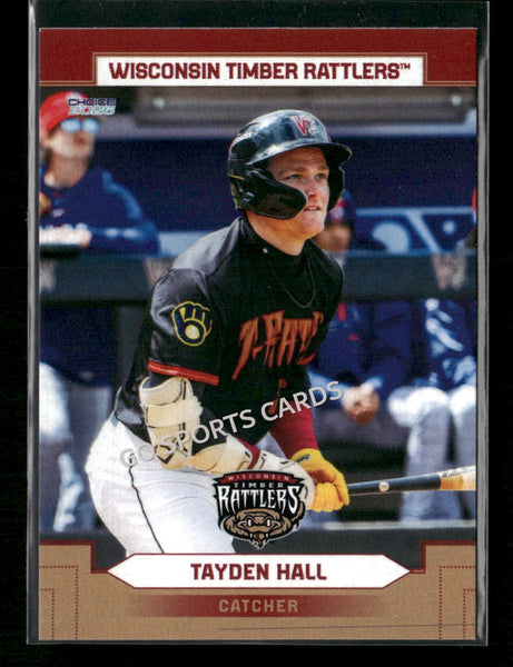 2026 Wisconsin Timber Rattlers Tayden Hall