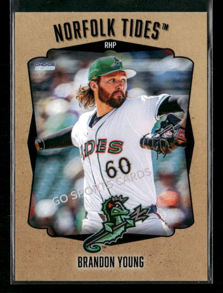 2026 Norfolk Tides Brandon Young