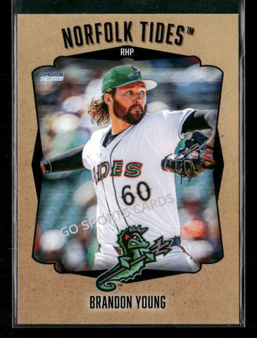 2026 Norfolk Tides Brandon Young