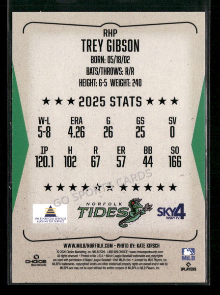 2026 Norfolk Tides Trey Gibson