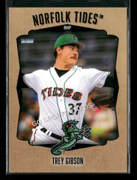 2026 Norfolk Tides Trey Gibson