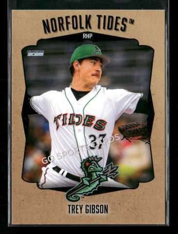 2026 Norfolk Tides Trey Gibson