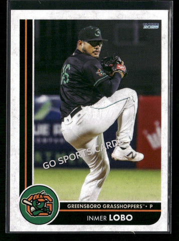 2026 Greensboro Grasshoppers Inmer Lobo