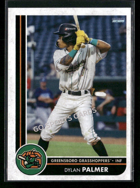 2026 Greensboro Grasshoppers Dylan Palmer