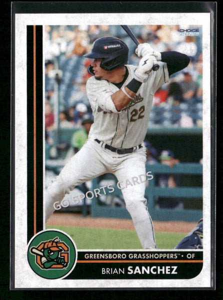 2026 Greensboro Grasshoppers Brian Sanchez