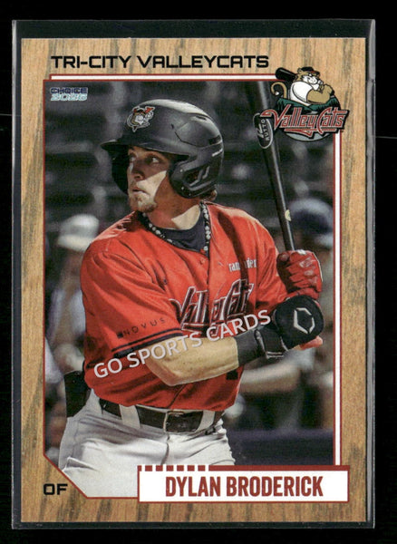 2026 Tri City Valleycats Dylan Broderick