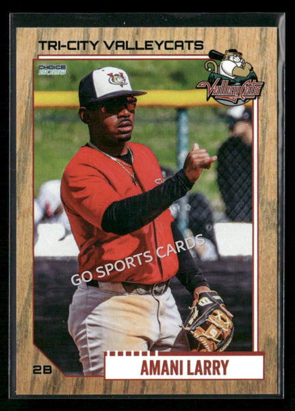 2026 Tri City Valleycats Amani Larry