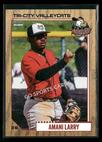 2026 Tri City Valleycats Amani Larry