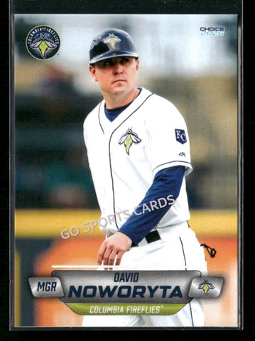 2026 Columbia Fireflies David Noworyta
