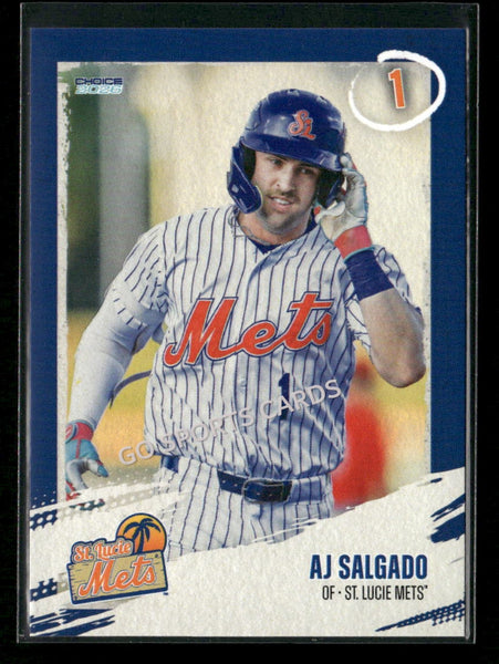 2026 St Lucie Mets AJ Salgado
