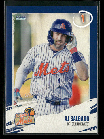 2026 St Lucie Mets AJ Salgado