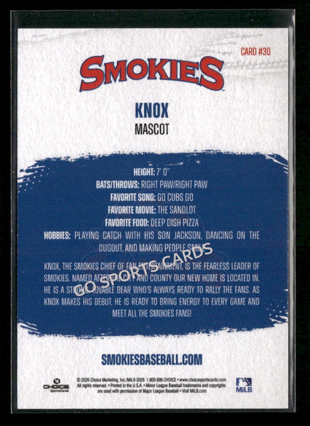 2026 Knoxville Smokies Knox Mascot