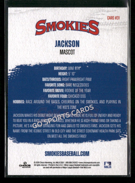 2026 Knoxville Smokies Jackson Mascot