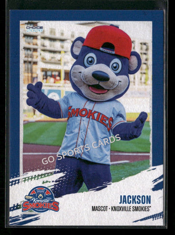 2026 Knoxville Smokies Jackson Mascot