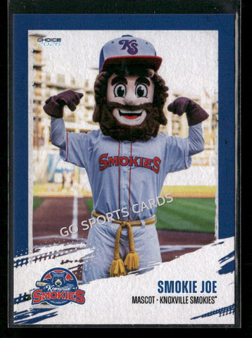2026 Knoxville Smokies Smokie Joe Mascot