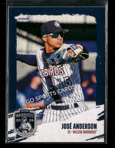2026 Wilson Warbirds Jose Anderson