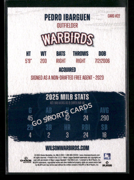 2026 Wilson Warbirds Pedro Ibarguen
