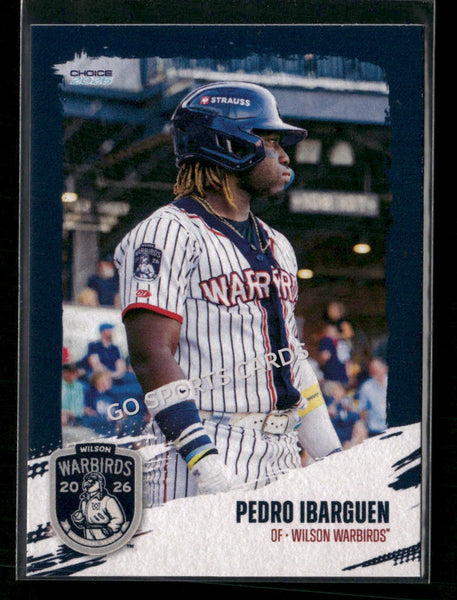 2026 Wilson Warbirds Pedro Ibarguen