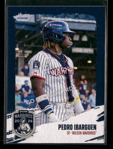 2026 Wilson Warbirds Pedro Ibarguen