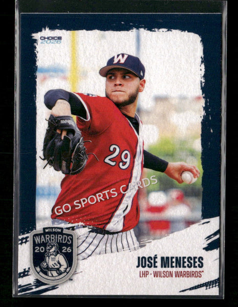 2026 Wilson Warbirds Jose Meneses
