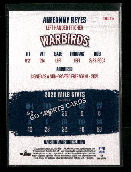 2026 Wilson Warbirds Anfernny Reyes