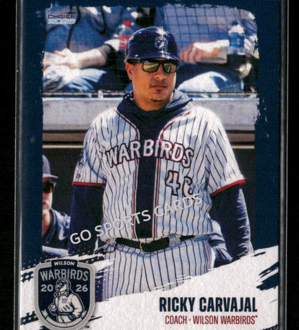 2026 Wilson Warbirds Ricky Carvajal