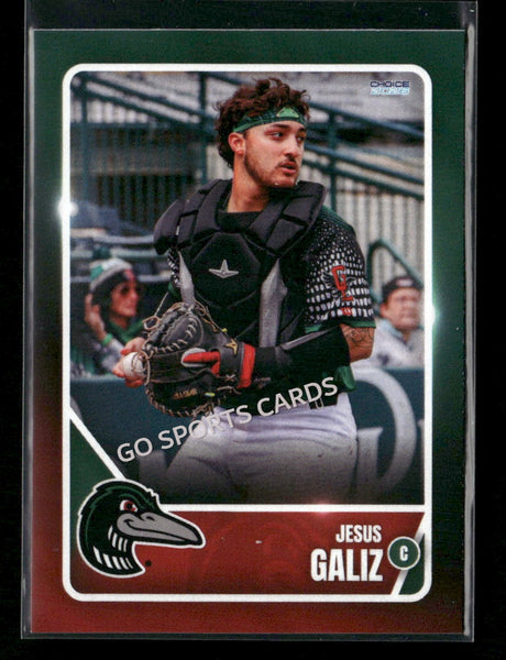 2026 Great Lakes Loons Jesus Galiz