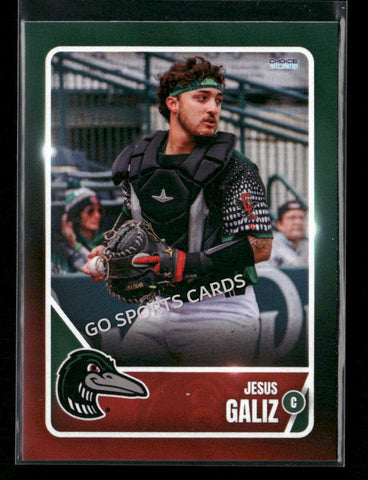 2026 Great Lakes Loons Jesus Galiz