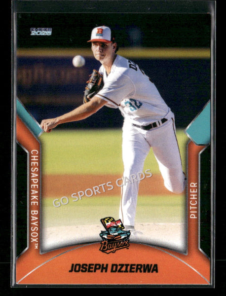 2026 Chesapeake Baysox Joseph Dzierwa