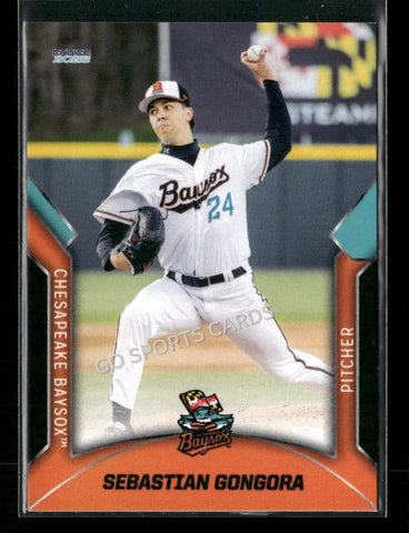 2026 Chesapeake Baysox Sebastian Gongora