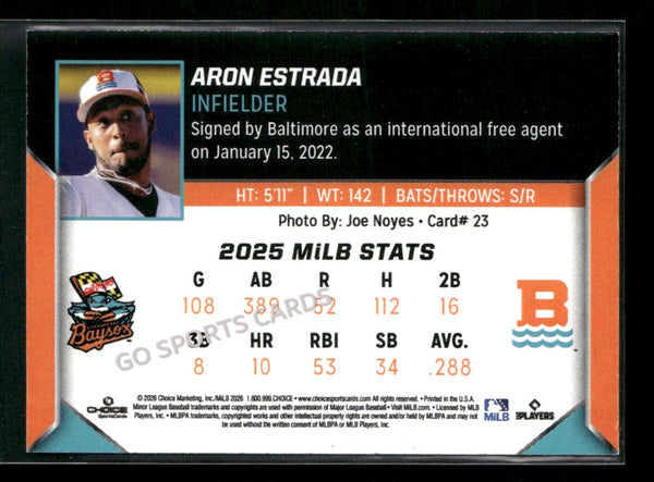 2026 Chesapeake Baysox Aron Estrada