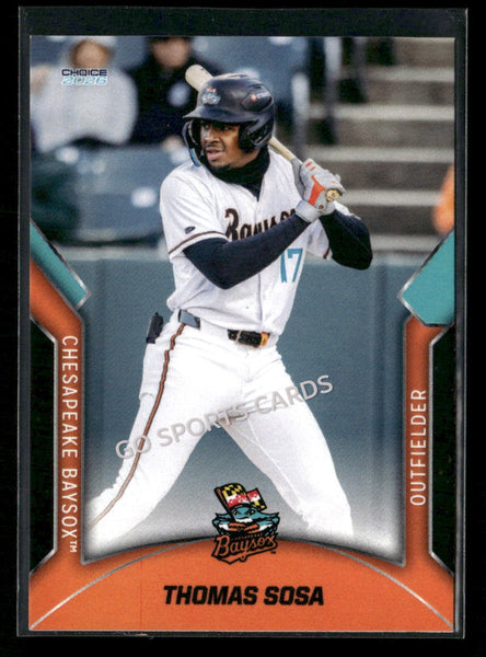 2026 Chesapeake Baysox Thomas Sosa