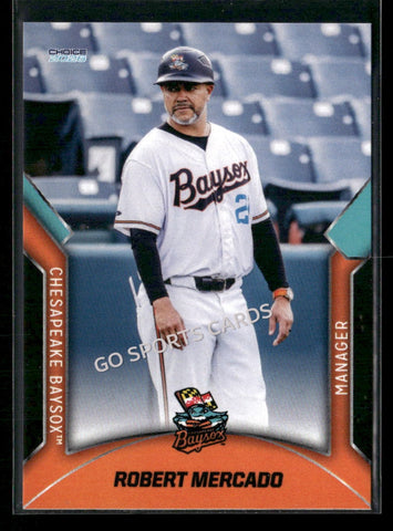 2026 Chesapeake Baysox Robert Mercado