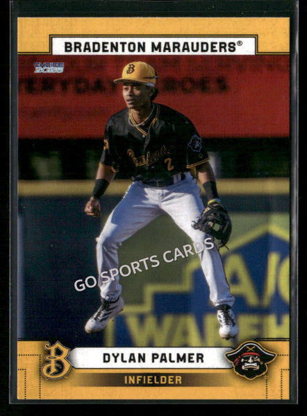 2026 Bradenton Marauders Dylan Palmer
